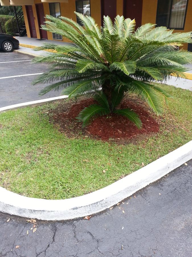 Howard Johnson By Wyndham Tallahassee Exteriör bild